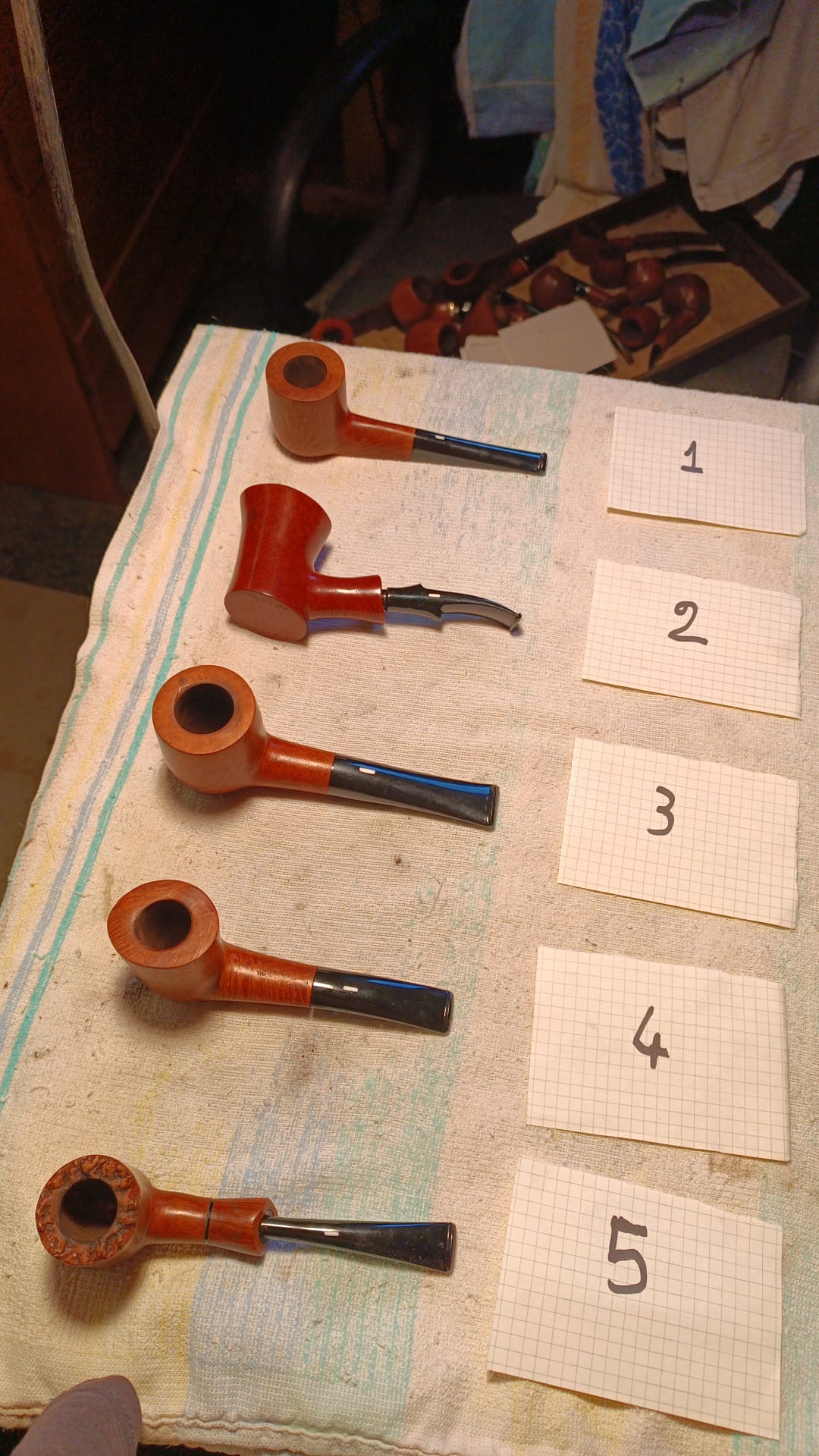 6 prima